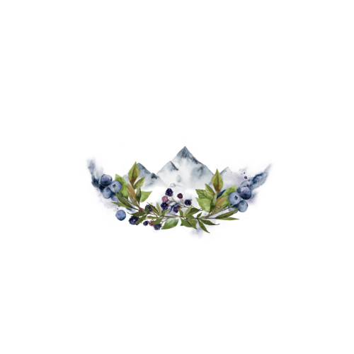 The Modern Meditator